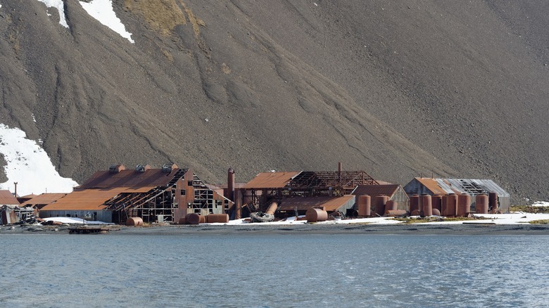 South Georgia whaling station