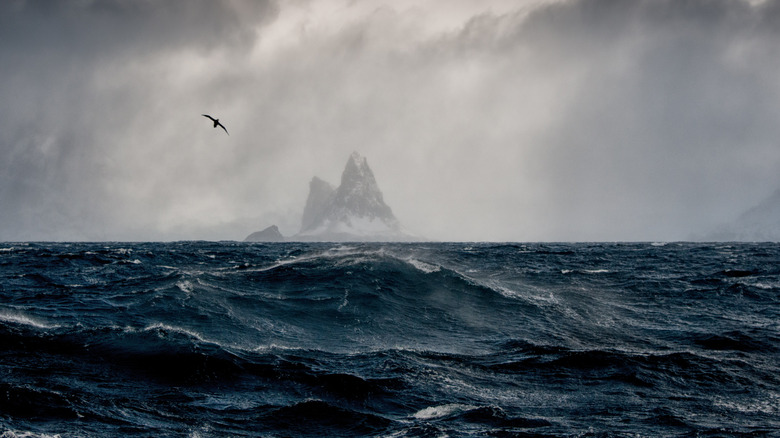 Elephant Island