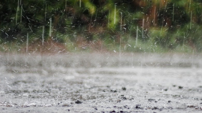 Rain on roadway