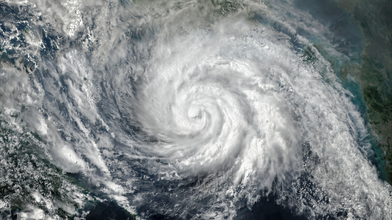 Typhoon satellite image