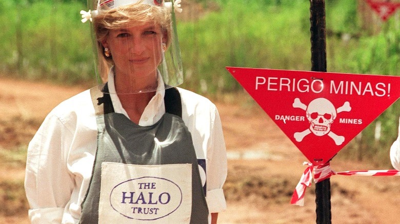 Princess Diana face shield Angola