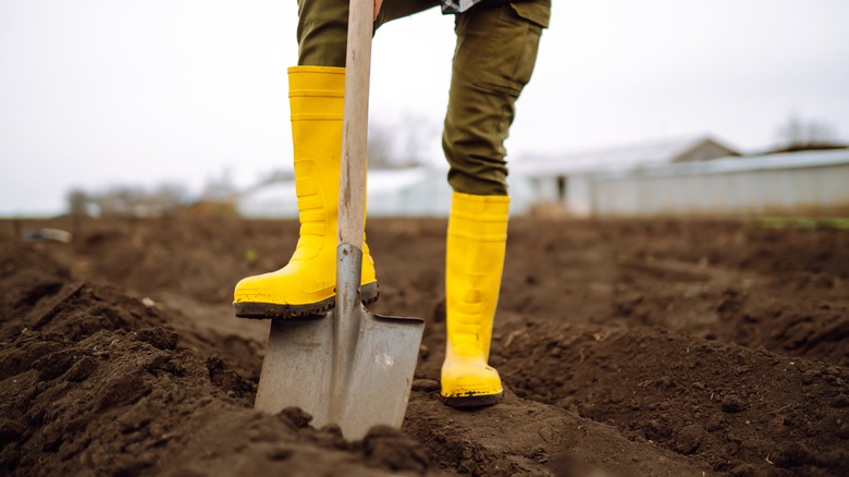 digging for copper