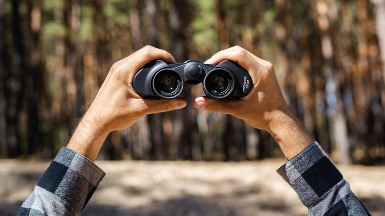 hands holding binoculars