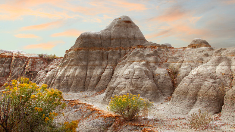 landscape of the Badlands 