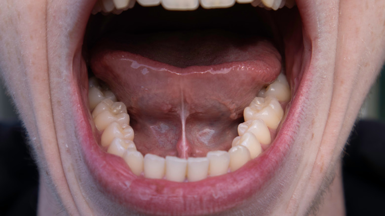 Human mouth