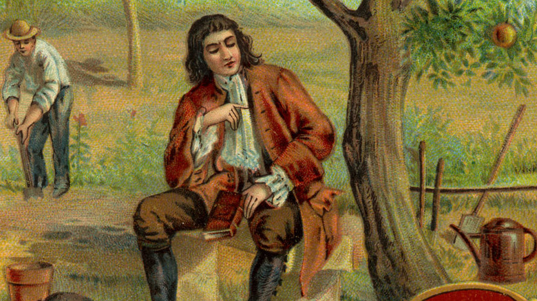 isaac newton under an apple tree