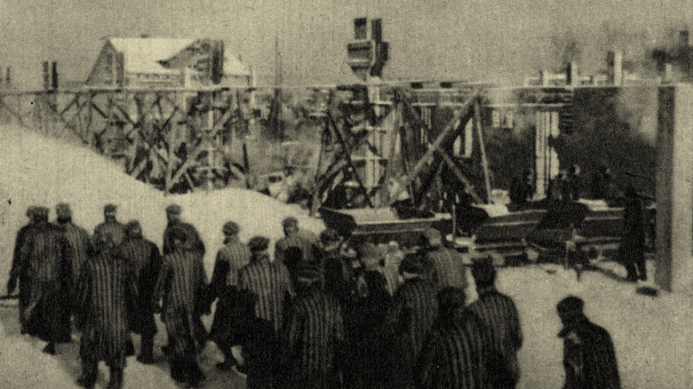 prisoners at auschwitz death camp