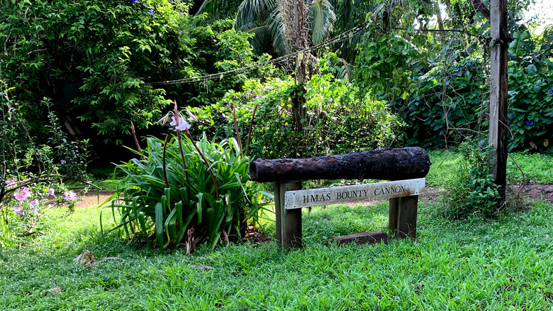 pitcairn hms bounty cannon