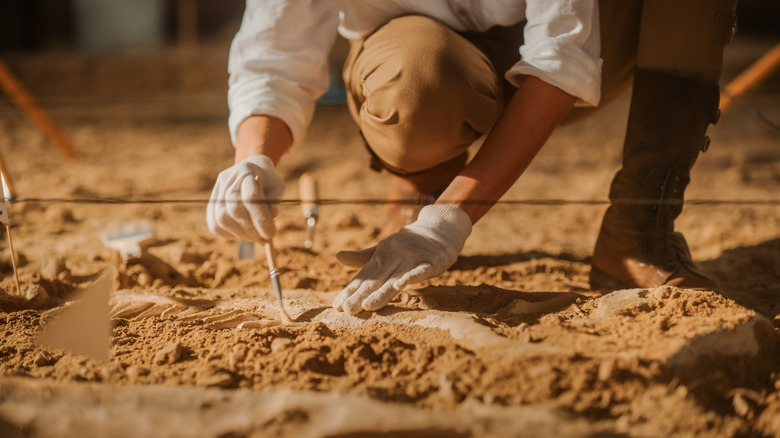 Archaeologist excavating a dig site