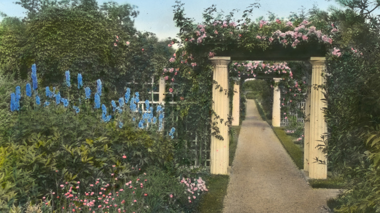 Hammersmith Farm with flowers and columns