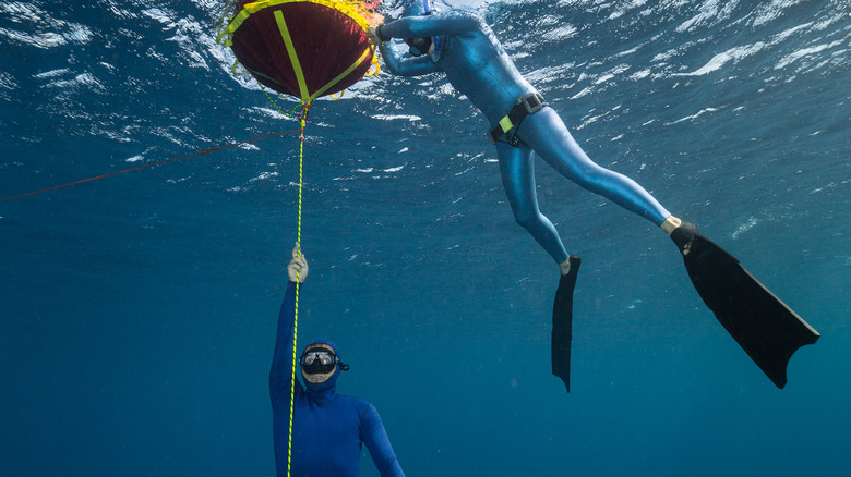 Free divers and diving rope