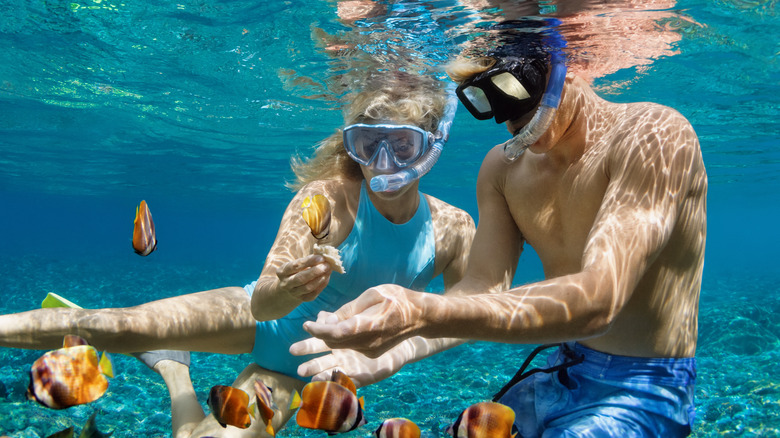 Diving and snorkeling