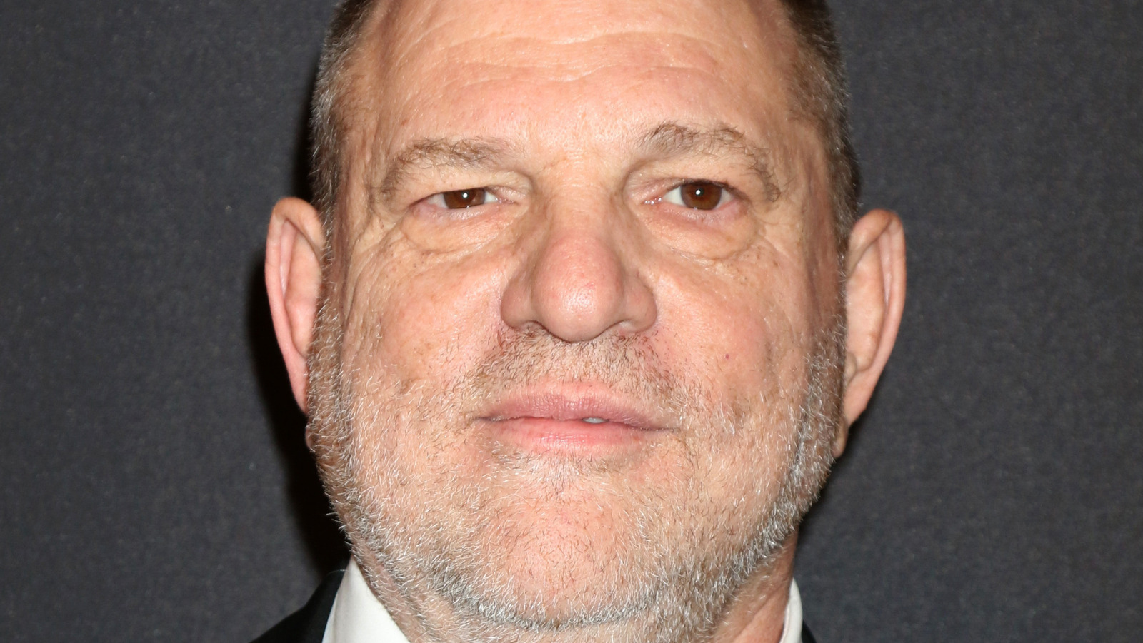 Just How Much Work Went Into Breaking The Harvey Weinstein Scandal 7244