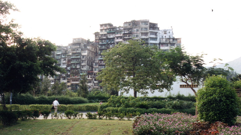 Kowloon Walled City from nearby park