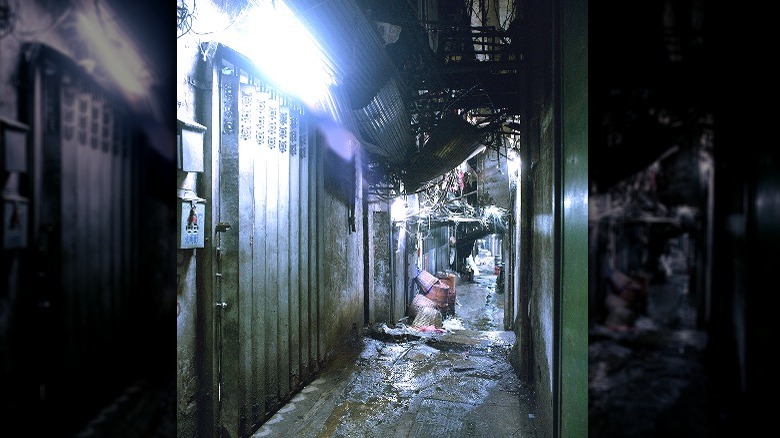 Kowloon Walled City Alleyway 