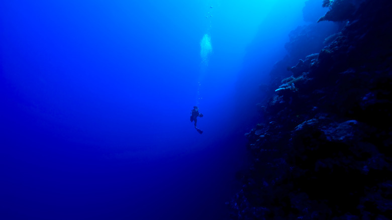 Diver ascending to ocean surface