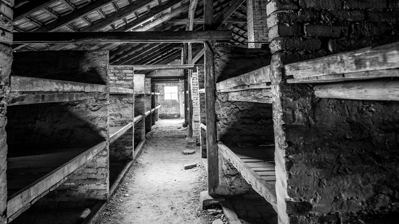 Auschwitz beds