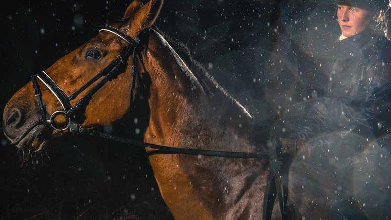 woman riding brown horse in the rain