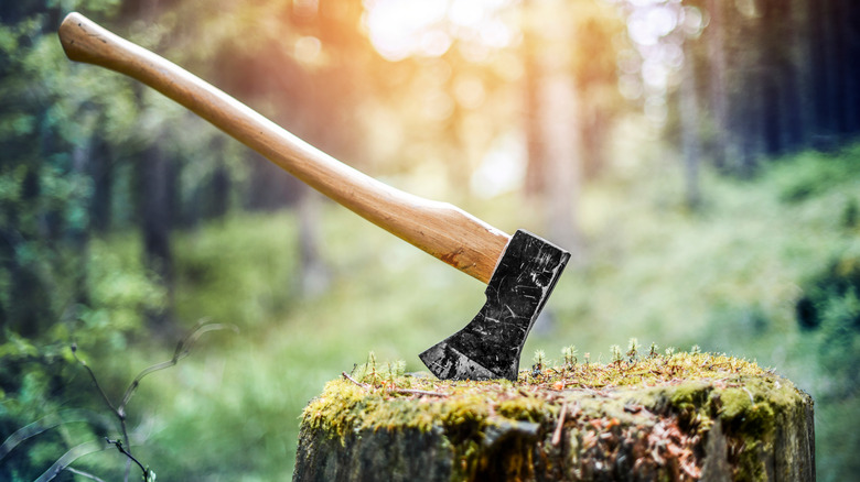 axe in a tree stump