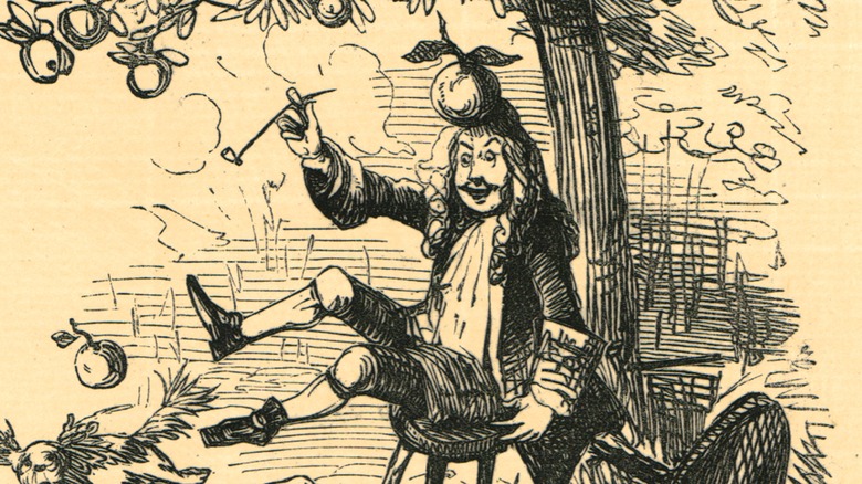 cartoon apple drops on newton's head