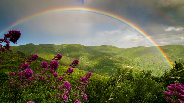 a rainbow over green mountains