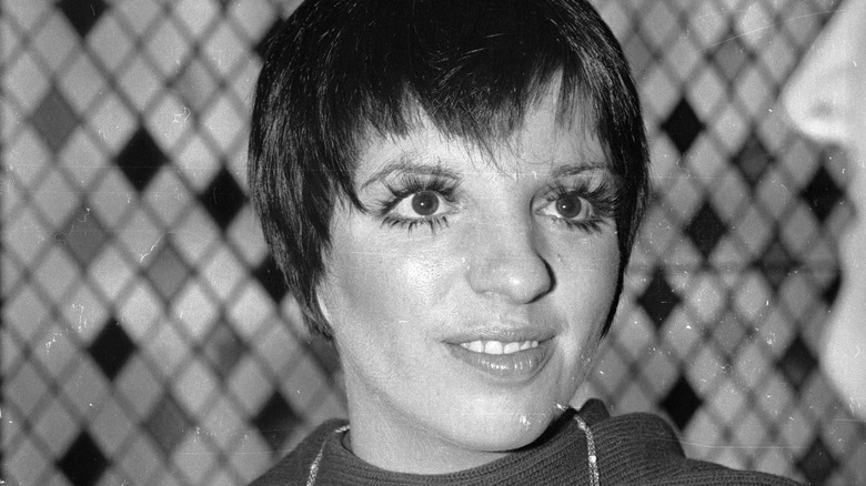 Liza Minnelli: From Childhood To Icon