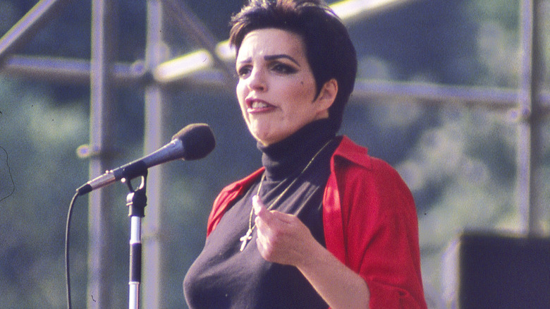 Liza Minnelli speaking into microphone