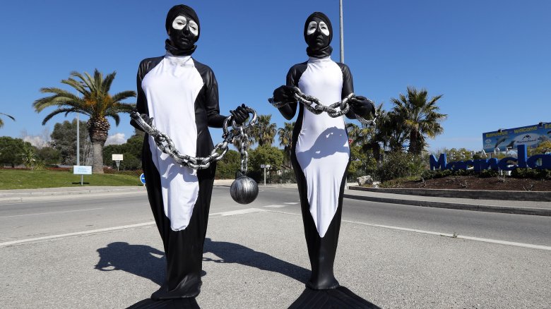 PETA members dress as orcas