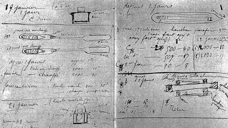 Marie Curie's notebooks 