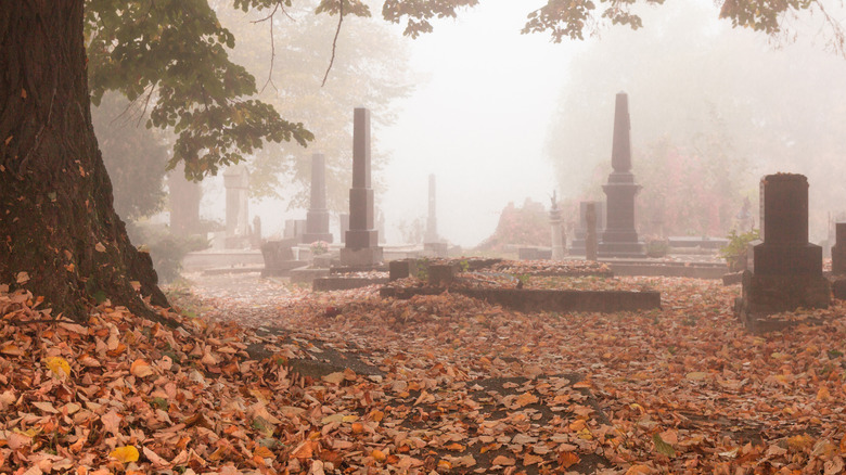 A graveyard filled with autumn leaves