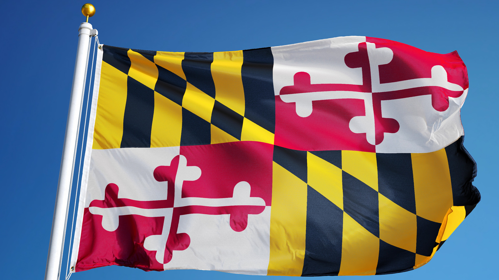 Maryland's Official Sport Is Something Totally Unexpected