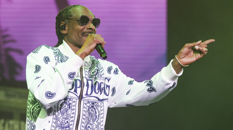 Snoop Dogg pointing while performing onstage