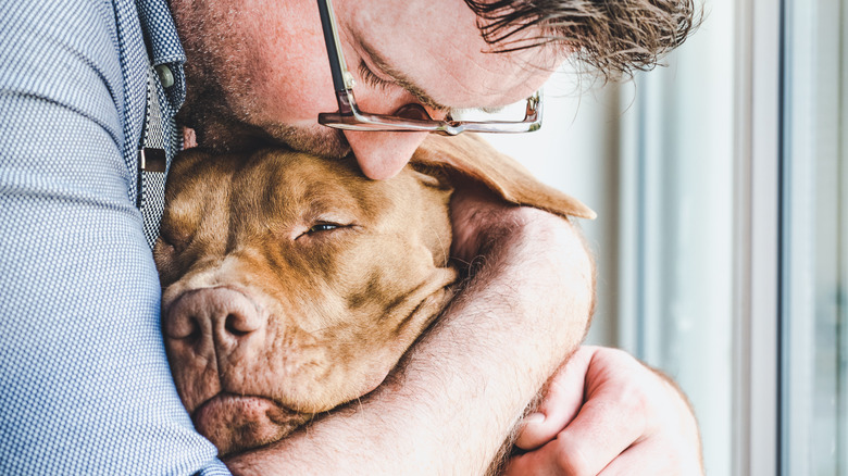 Man kissing dog