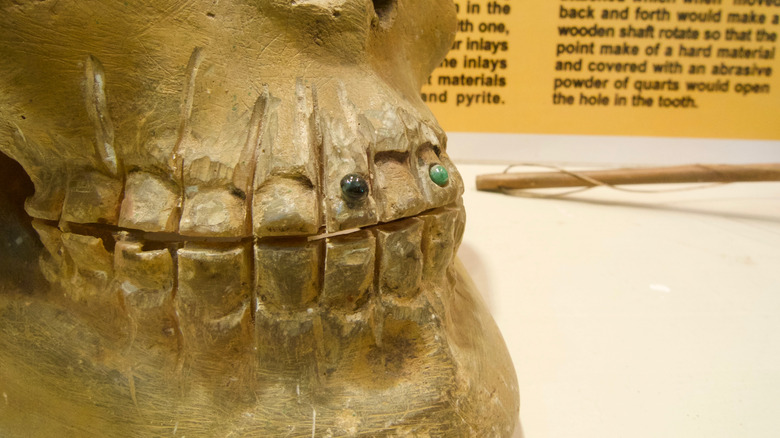 ancient skull close up