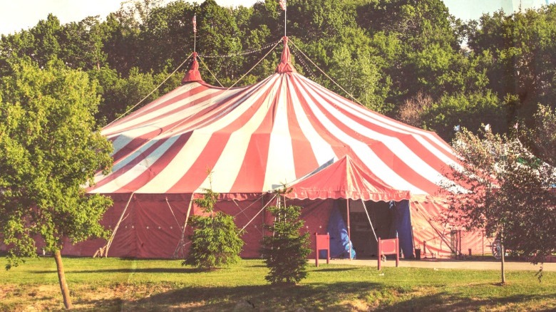 circus big top