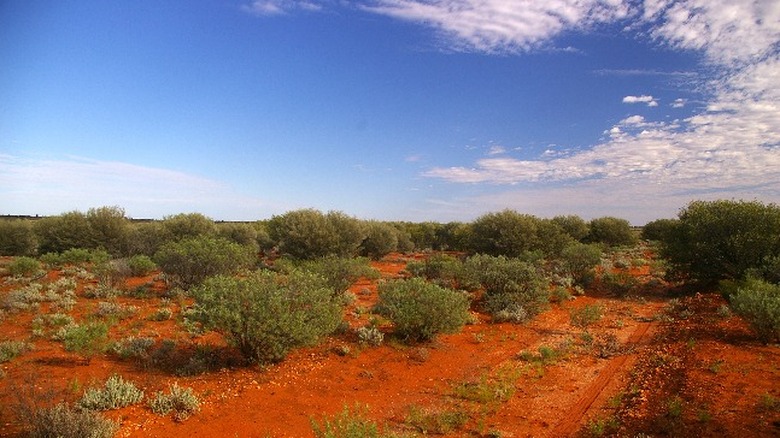 Maralinga sky