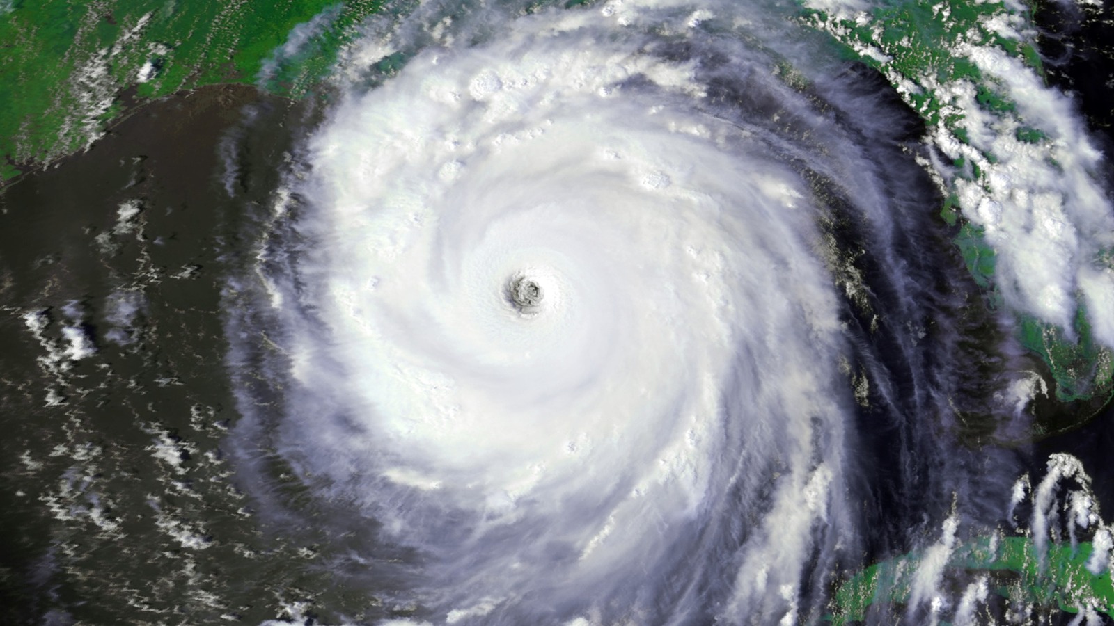 In Hurricane Katrina's Aftermath – SAPIENS