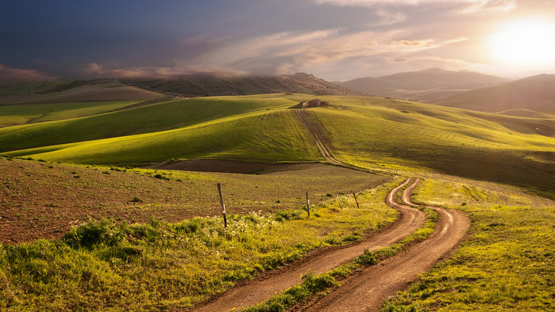 Sicilian country road