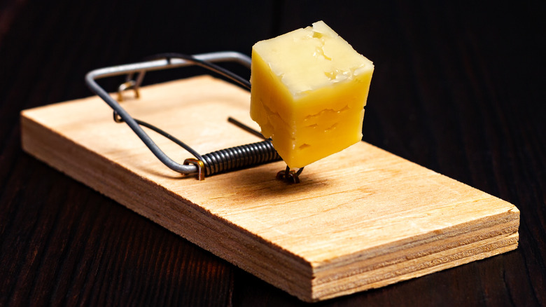 mousetrap with cheese on wooden surface