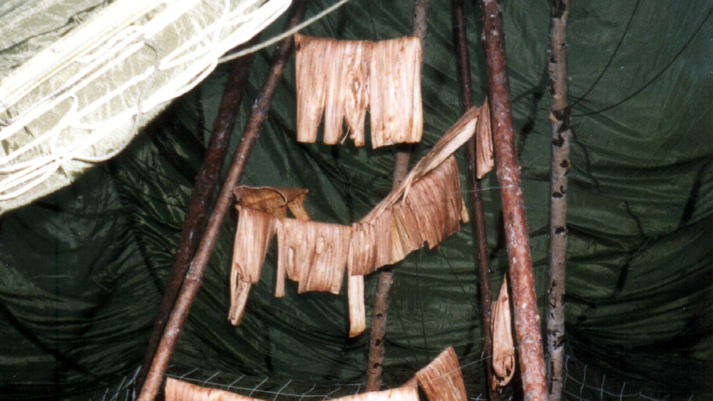 Bark being dried for bread making