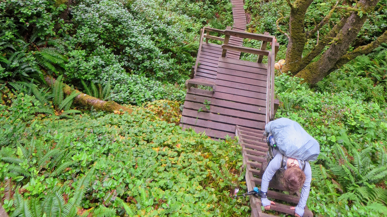 woman climbing ladder west coast trail vancouver