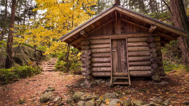 cabin in woods