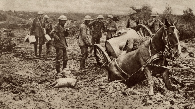 British troops try to get a horse out of the mud at Ypres