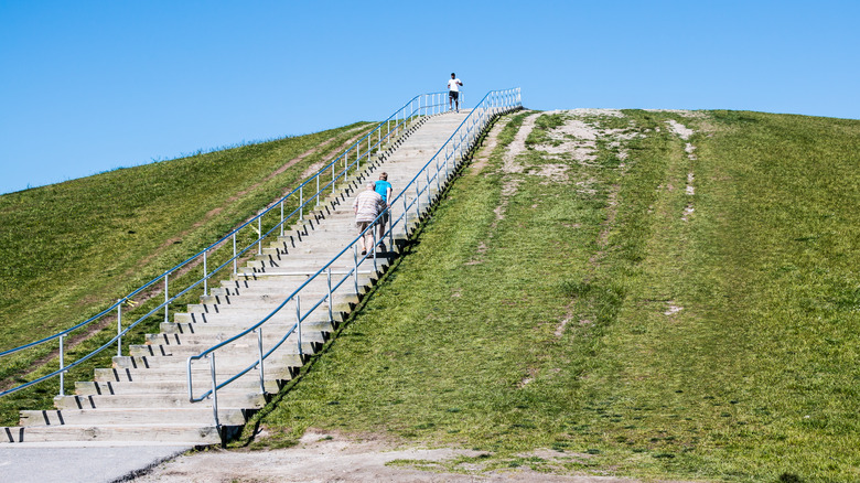 Mount Trashmore stairs