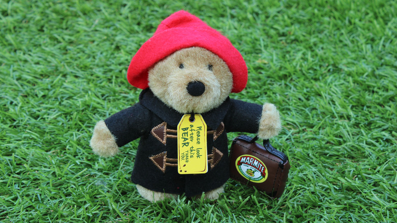 Paddington Bear and Marmite