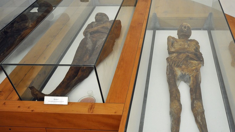 Venzone mummies in cases