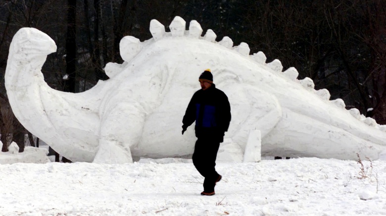 frozen real dinosaur fossils