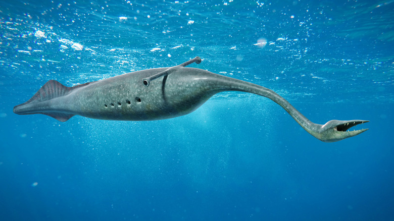 illustration of a tully monster 