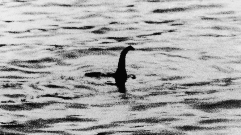 The Loch Ness monster emerges