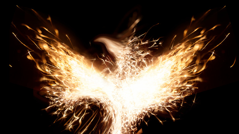 A burning phoenix emerges
